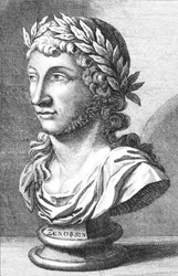 Bust of Xenophanes